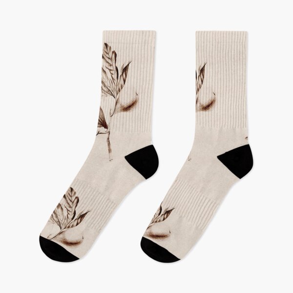 Item preview, Fig fruit vintage botanical illustration print in beige colors. designed and sold by helga-wigandt.