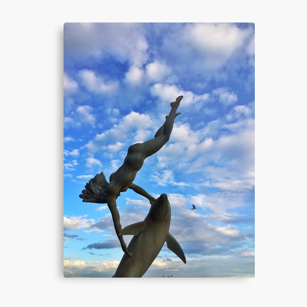 Girl with a Dolphin Metal Print