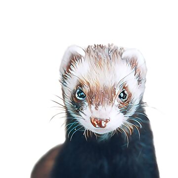 Cute Ferret Face Art Print For a ferret lover for a ferret owner for a ferret breeder. Sticker for Sale by Wentoo Redbubble