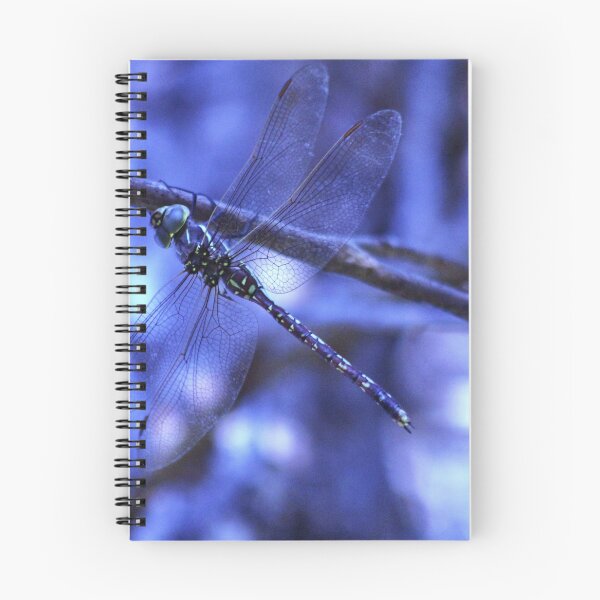 Item preview, Dragonfly designed and sold by John Weeks.
