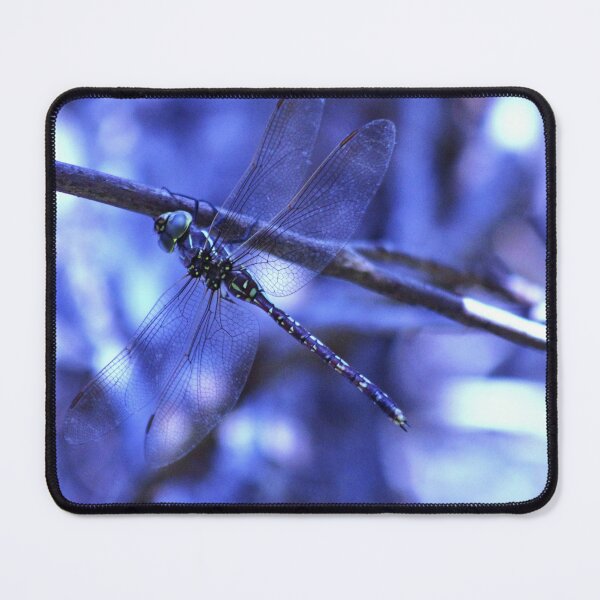 Item preview, Dragonfly designed and sold by John Weeks.