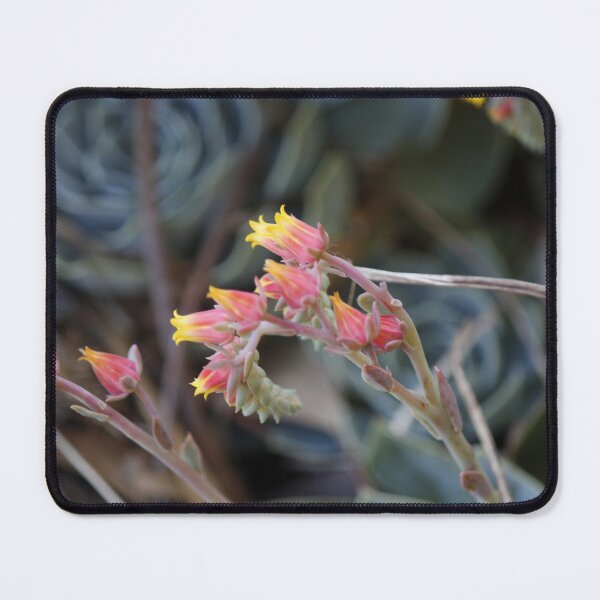 Item preview, Arid Beauty designed and sold by NixNova73.