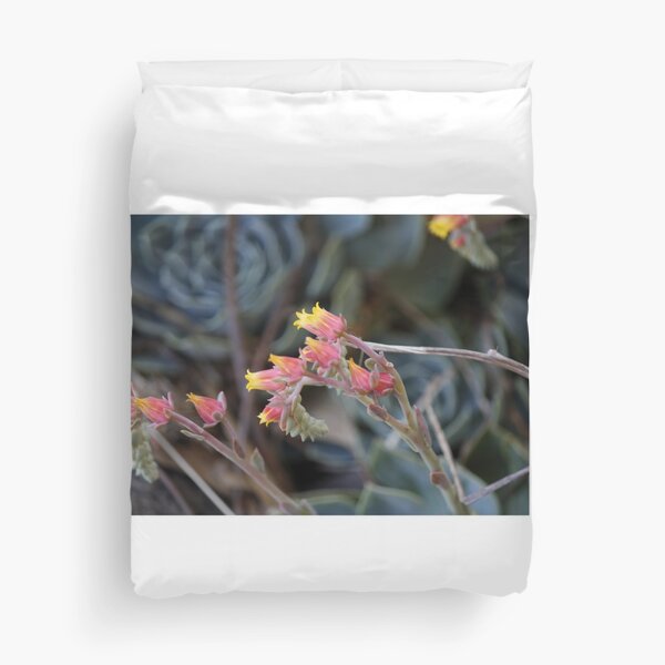 Arid Beauty Duvet Cover