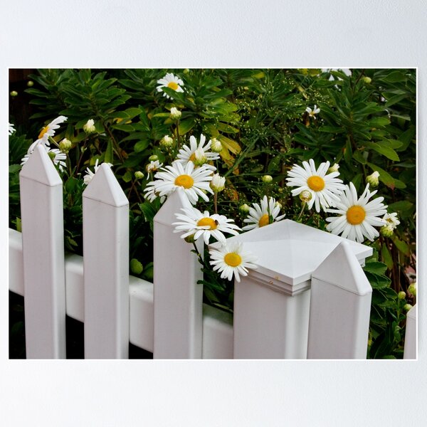 Item preview, Daisy Fence designed and sold by AnnDixon.
