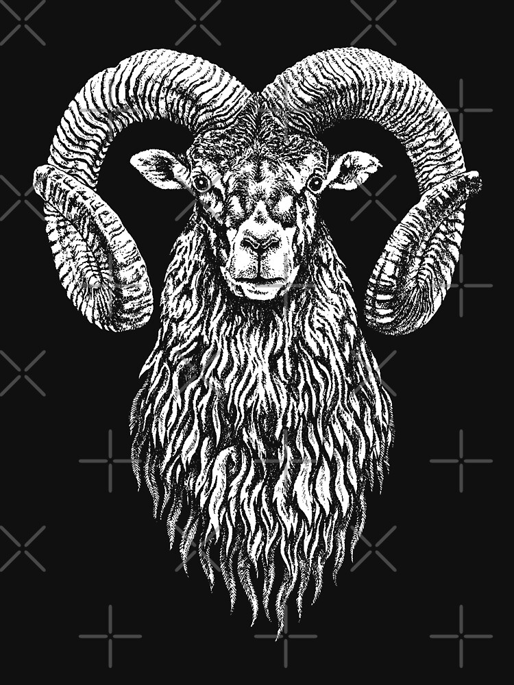 White Graphic T-shirt - Ram / Bighorn Sheep. Organic Cotton - Born