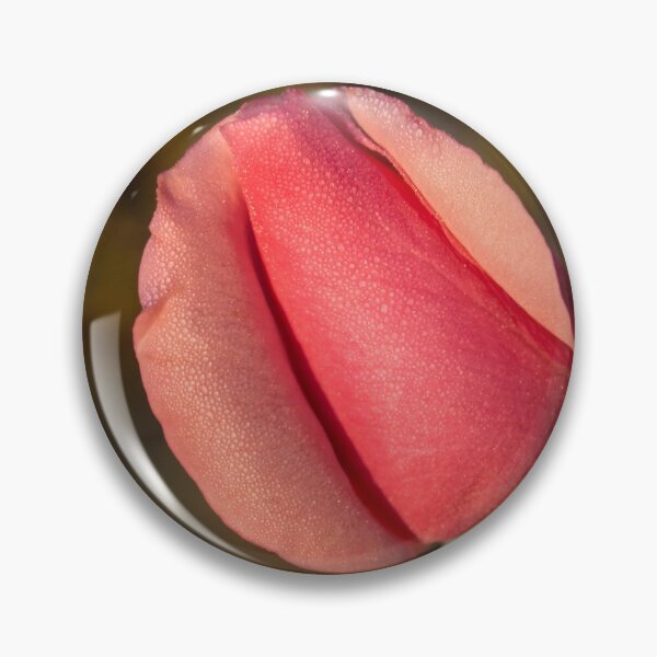Item preview, Sweetheart Pink Promise - Dewy Petaled Rosebud About to Open designed and sold by Georgia Mizuleva.