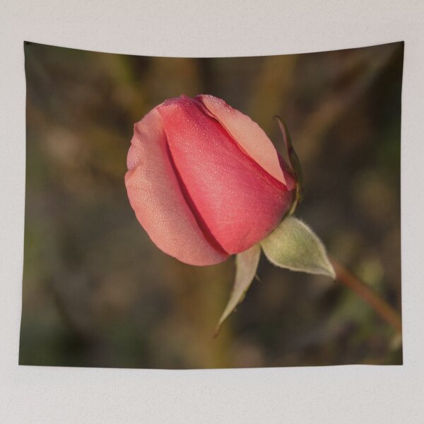 Item preview, Sweetheart Pink Promise - Dewy Petaled Rosebud About to Open designed and sold by Georgia Mizuleva.