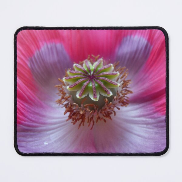 Item preview, Perpetual Poppy  designed and sold by angel1.