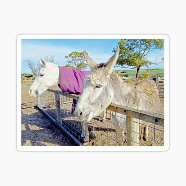 Vista previa del artículo con la obra «"Eddy el burro: un día en la granja"», diseñado y vendido por A-Work-Of-Art.
