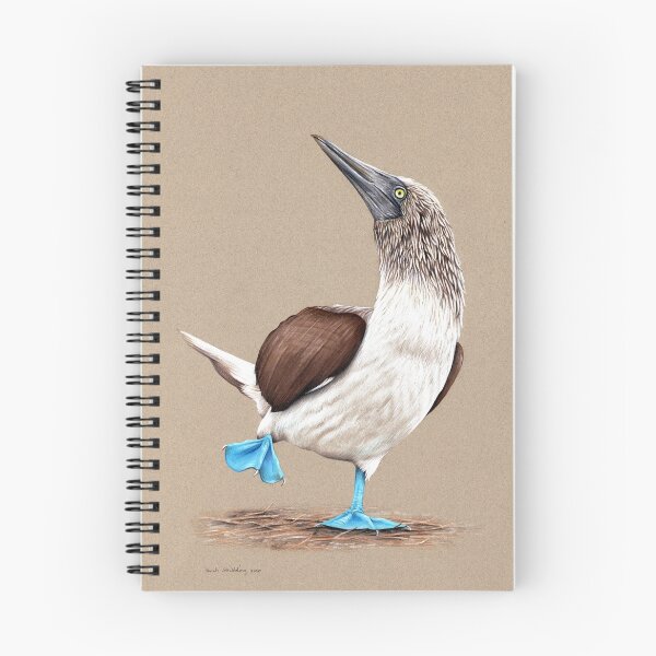 Item preview, Blue Footed Boobie designed and sold by sarahstribb.