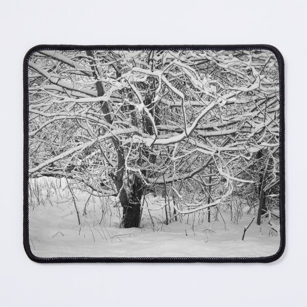 Item preview, One more winter for the mapple designed and sold by Jouko Lehto Photography.