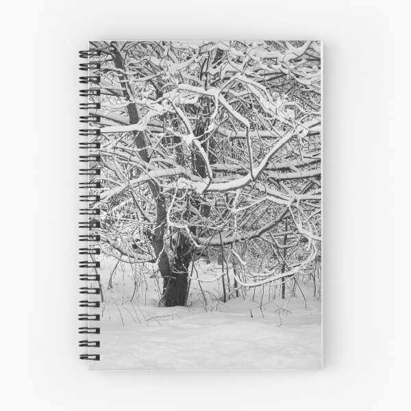 Item preview, One more winter for the mapple designed and sold by Jouko Lehto Photography.