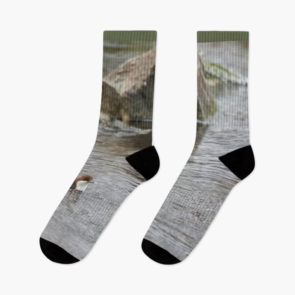 Item preview, Morning swim. White-throated dipper designed and sold by Jouko Lehto Photography.