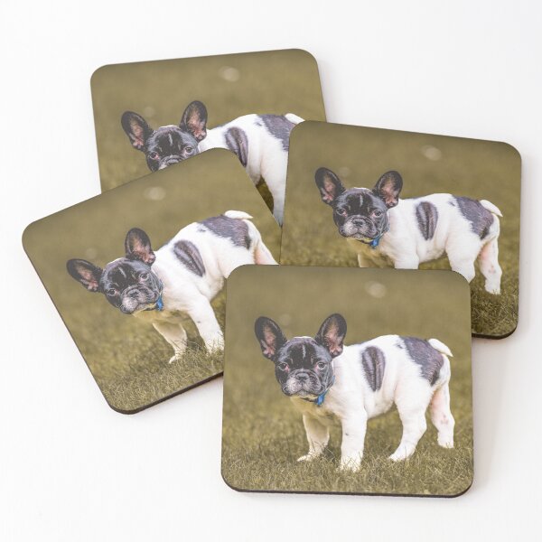 Item preview, Suri, the French bulldog designed and sold by OskiOnTour.