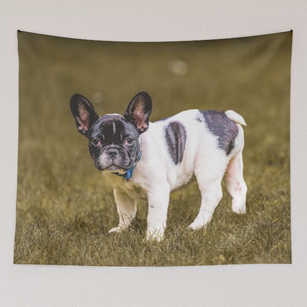Item preview, Suri, the French bulldog designed and sold by OskiOnTour.