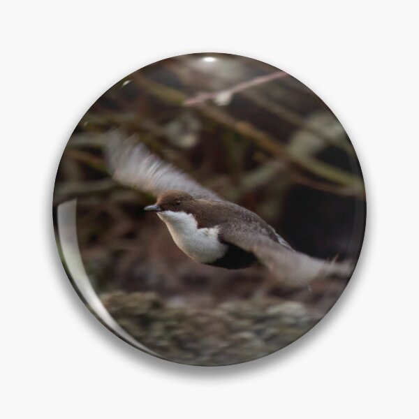 Item preview, Fly baby fly. White-throated dipper designed and sold by Jouko Lehto Photography.