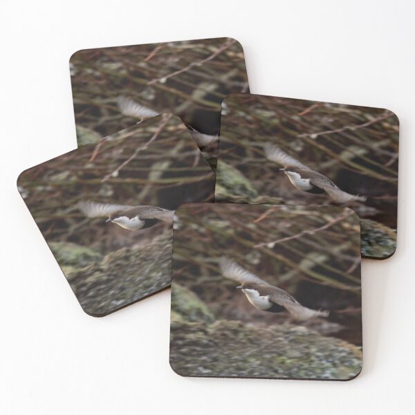 Item preview, Fly baby fly. White-throated dipper designed and sold by Jouko Lehto Photography.