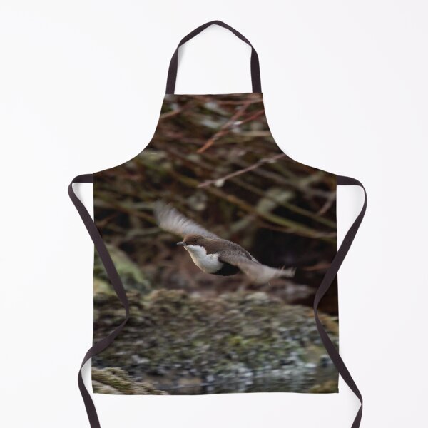 Item preview, Fly baby fly. White-throated dipper designed and sold by Jouko Lehto Photography.