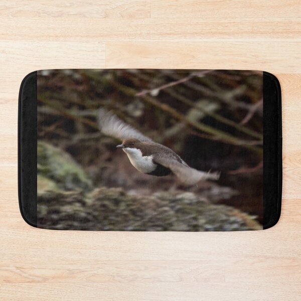 Item preview, Fly baby fly. White-throated dipper designed and sold by Jouko Lehto Photography.