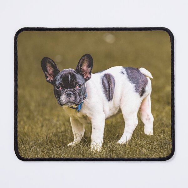 Item preview, Suri, the French bulldog designed and sold by OskiOnTour.