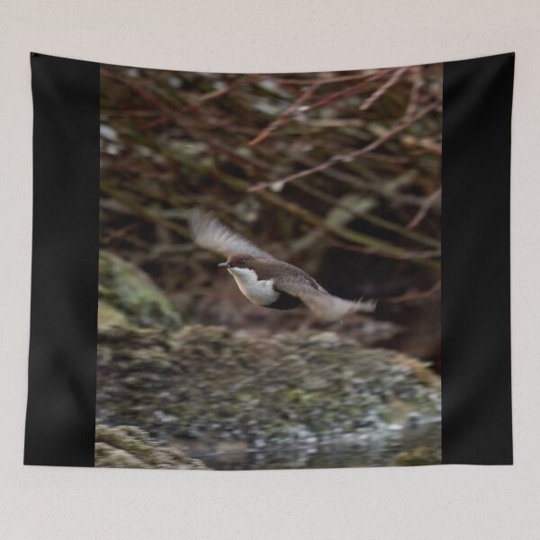 Item preview, Fly baby fly. White-throated dipper designed and sold by Jouko Lehto Photography.
