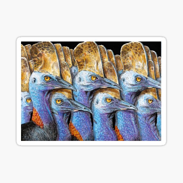 Cassowaries by Jim Cox Sticker