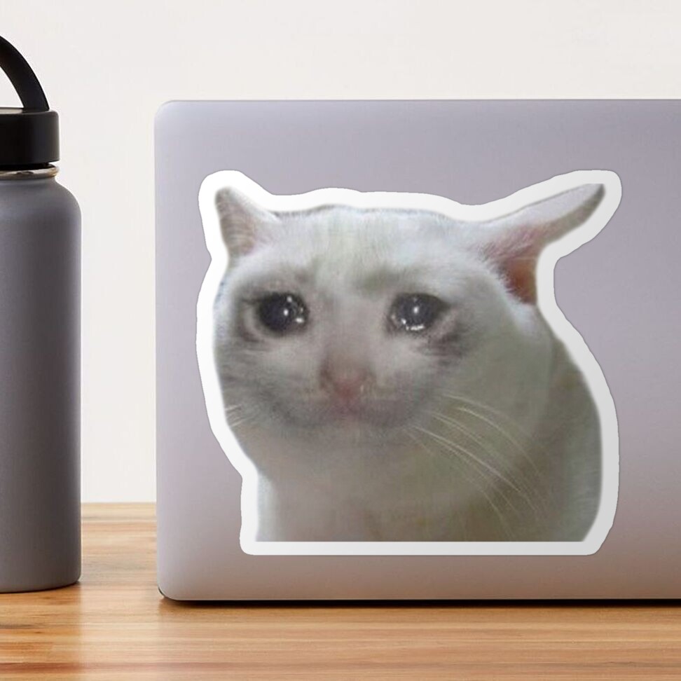 Sad Cat Meme Thumbs up With Heart Good Job Cat Sticker Cat Meme Sticker,  Sad Cat Meme, Cat Water Bottle Sticker, Cat Laptop Vinyl Stickers 