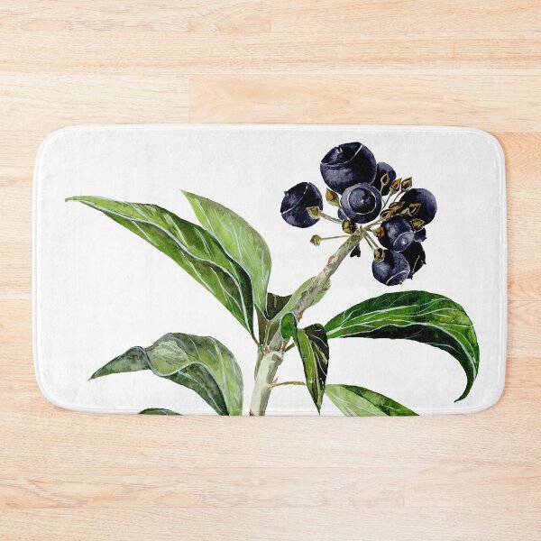 Item preview, Hedera Arbori Compact designed and sold by Halyna Nechyporuk.