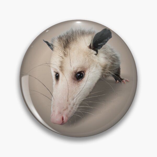 Item preview, Possum Face Portrait Print - For a possum lover, for a possum owner, for an animal rescue center. designed and sold by Wentoo.