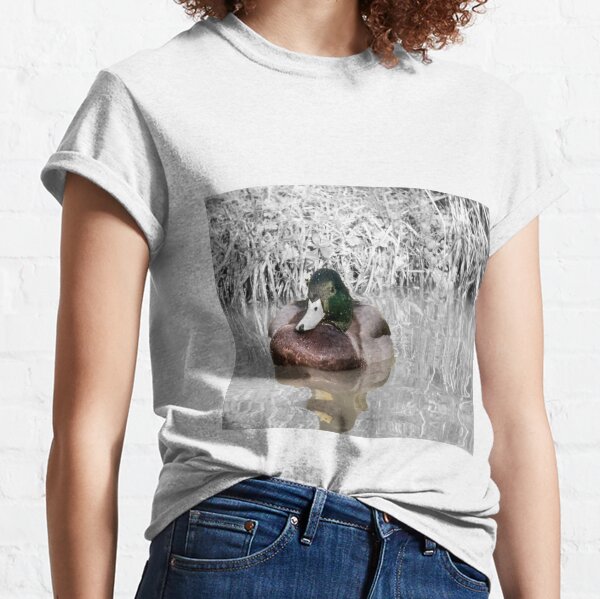 Duck on the water Napton on the hill Classic T-Shirt