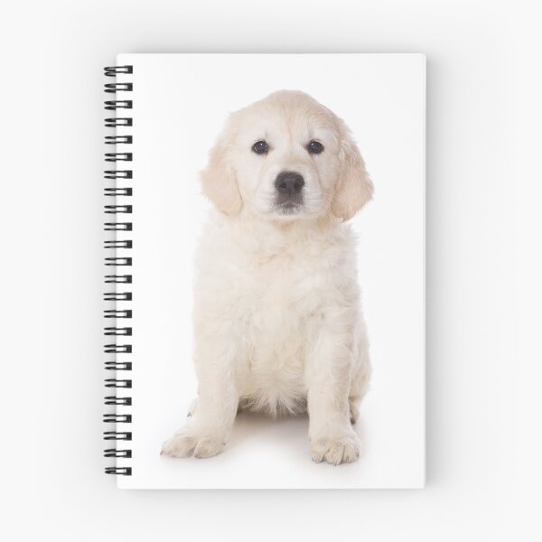 Item preview, Charming Labrador Retriever Puppy designed and sold by utekhina.