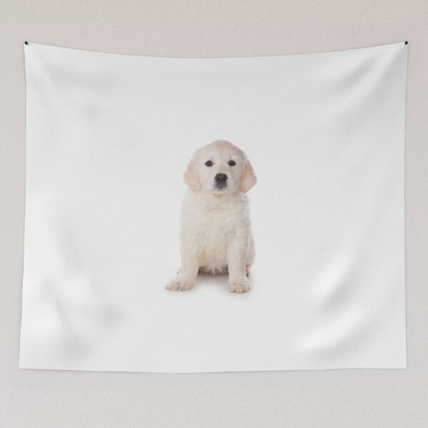 Item preview, Charming Labrador Retriever Puppy designed and sold by utekhina.