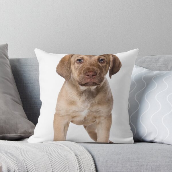 Item preview, Charming Labrador Retriever Puppy designed and sold by utekhina.