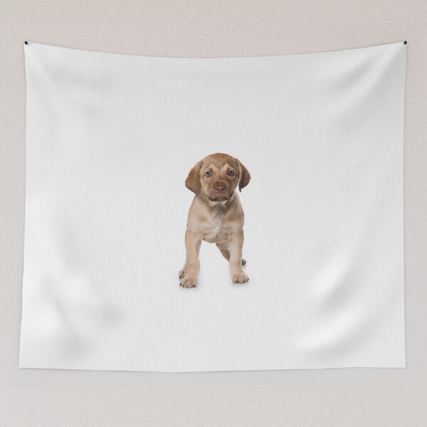 Item preview, Charming Labrador Retriever Puppy designed and sold by utekhina.