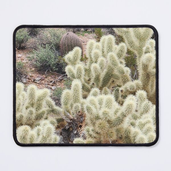 Item preview, Cholla Cholla Cactus in Bloom Photograph designed and sold by Willyboy16.