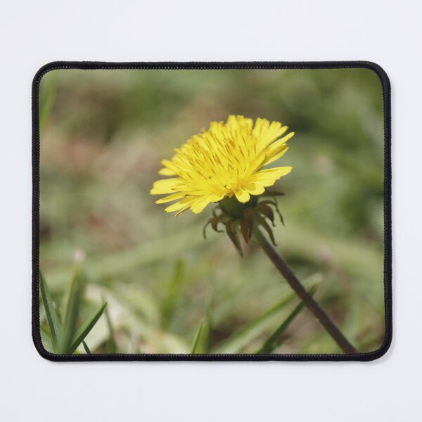 Item preview, Full Bloom designed and sold by NixNova73.