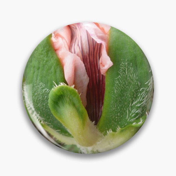Item preview, Poppy unfolding designed and sold by angel1.