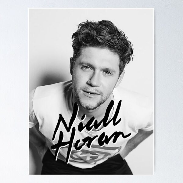 Dear Patience Lyrics Digital Print Poster Niall Horan Merch 