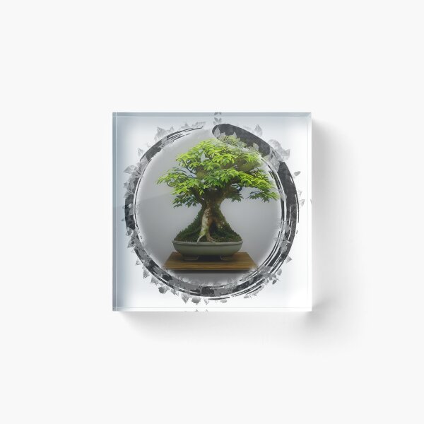 Item preview, Ficus tree bonsai, Zen designed and sold by Digisabella.