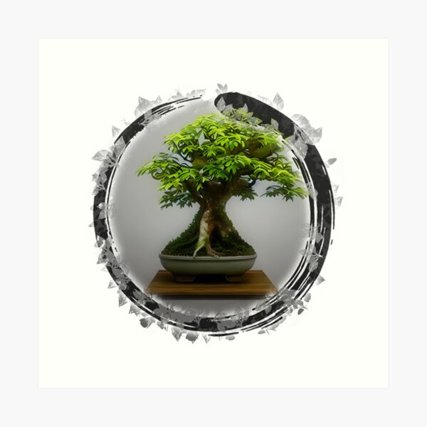 Bonsai Ficus Art Prints for Sale