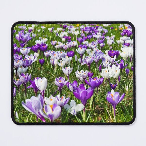 Item preview, crocus flower spring flower designed and sold by nacerhadj.