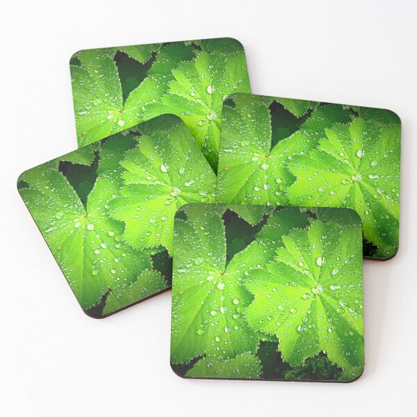 Item preview, Alchemilla ~ Lady's Mantle designed and sold by angel1.