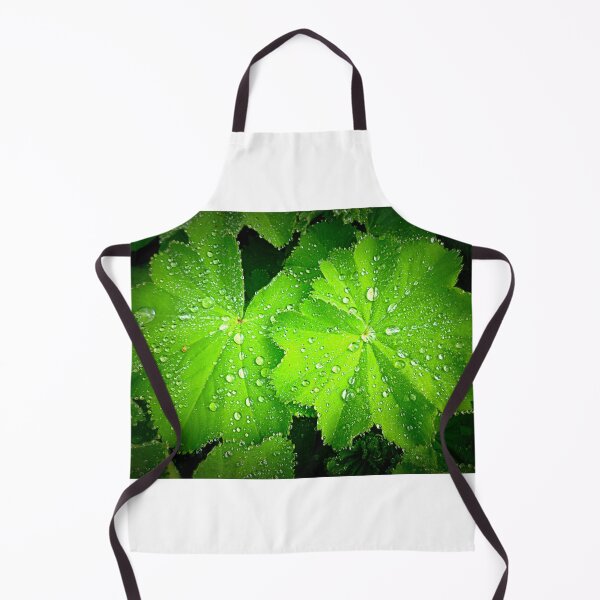 Item preview, Alchemilla ~ Lady's Mantle designed and sold by angel1.