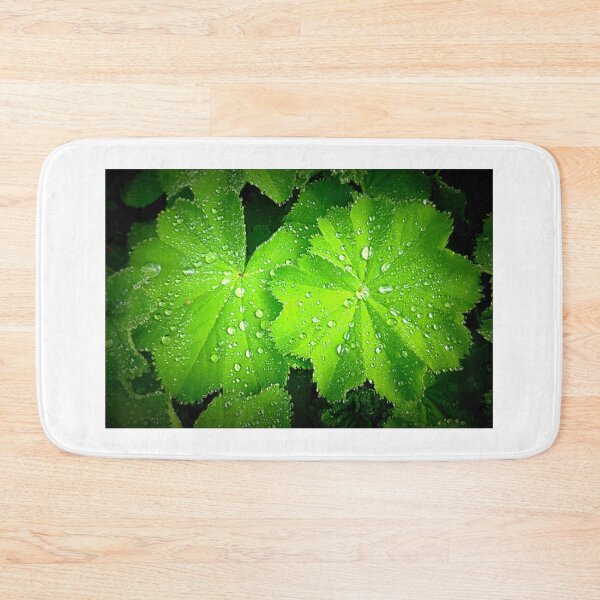 Item preview, Alchemilla ~ Lady's Mantle designed and sold by angel1.