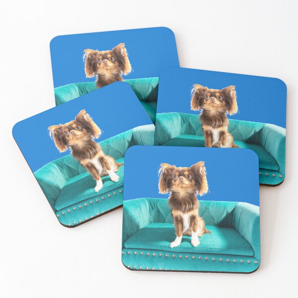 Item preview, Eva The Chihuahua On Her Special Settee designed and sold by Paul Thompson Photography.