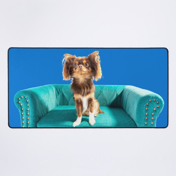 Item preview, Eva The Chihuahua On Her Special Settee designed and sold by Paul Thompson Photography.