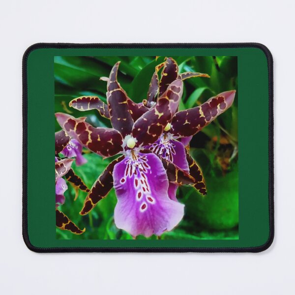 Item preview, Orchid designed and sold by Bluesrose.