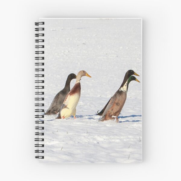Item preview, Running ducks in the snow designed and sold by anatida.