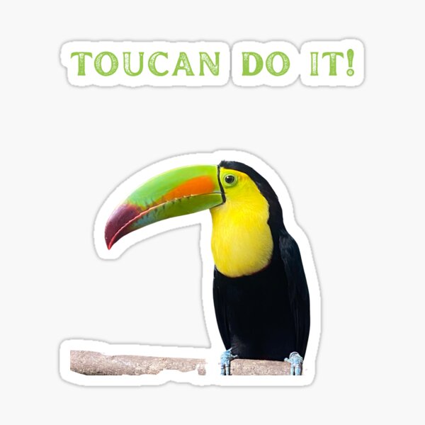 Toucan Funny Sayings Gifts & Merchandise for Sale | Redbubble Toucan Funny Sayings Gifts & Merchandise for Sale | Redbubble