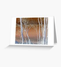 Lake Michigan Through the Trees Greeting Card